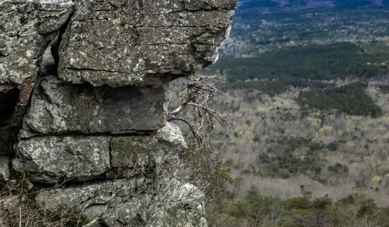 Cheaha State Park - Discovering Natural Wonders