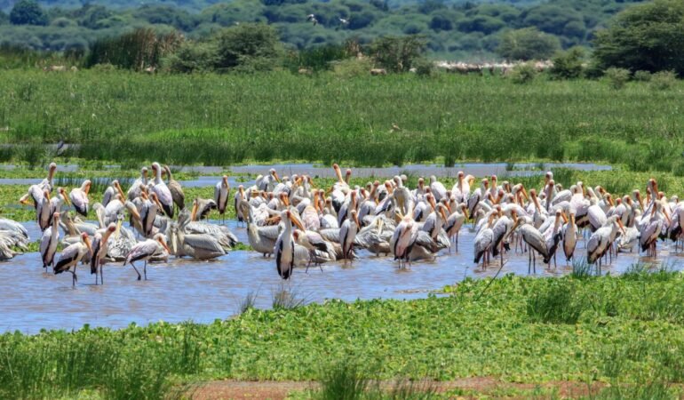 Kampinos National Park - Wilderness Adventure Awaits